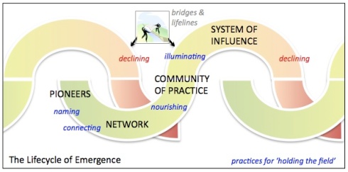lifecycle of emergence diagram